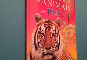 imagem_2