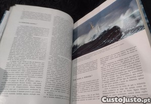 imagem_9