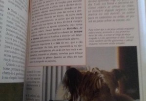 imagem_7