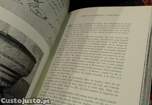 imagem_10