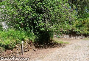 imagem_22