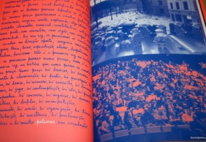 imagem_7