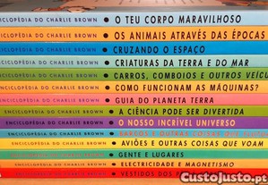 imagem_8