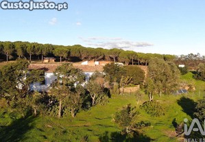 imagem_8