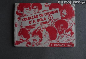 imagem_1