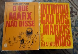 imagem_2