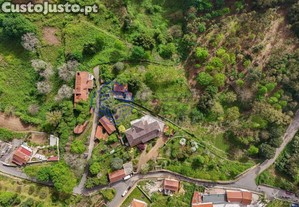 imagem_29
