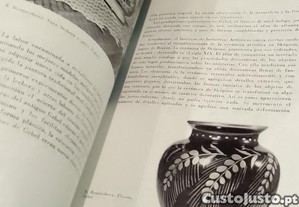 imagem_7