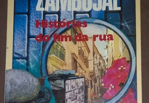 Histórias do fim da rua, de Mário Zambujal.