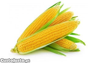 Aguardente de milho fresco e biol�gico. Produto  singular, saud�vel