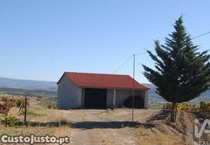 imagem_6