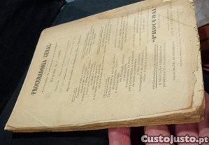 imagem_9