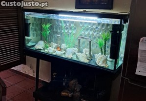 Aquario com movel 300ltr