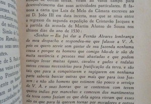 imagem_3