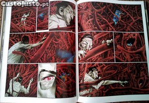 imagem_7