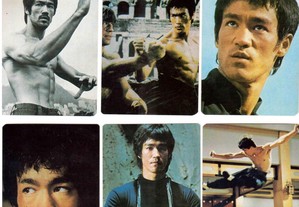Coleção completa de 12 calendários sobre Bruce Lee 1991
