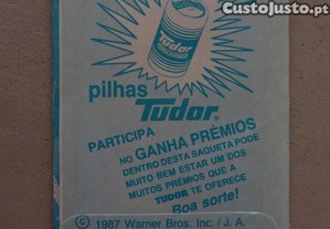 imagem_2