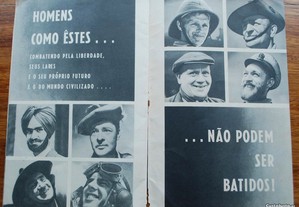 imagem_8