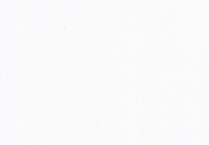 imagem_8