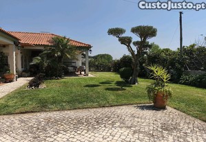 Jardins e limpeza de terrenos