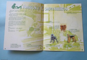 imagem_2