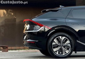imagem_21