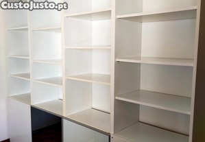 imagem_2