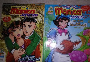 imagem_2