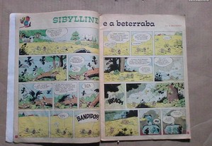 imagem_4
