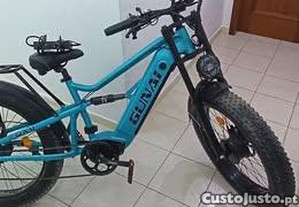 Bicicleta Elctrica
