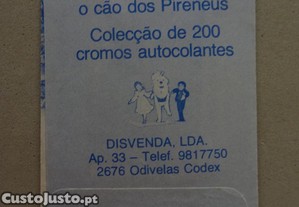 imagem_2