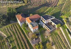 Quinta Em Mesão Frio (Unesco) Com 6,6Ha
