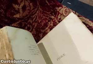imagem_6