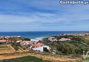 imagem_15