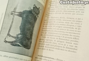 imagem_10