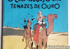 imagem_1