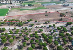 Terreno em Peges de 42500,00 m
