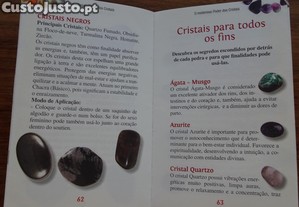 imagem_7