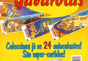 imagem_3