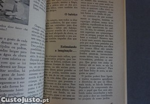 imagem_7