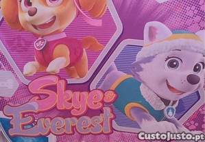 imagem_1