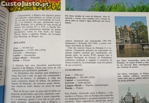 imagem_4