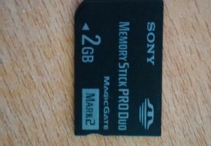 Memory Stick Pro Duo Sony para psp 2gb