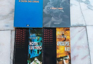 imagem_2