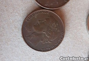 imagem_6