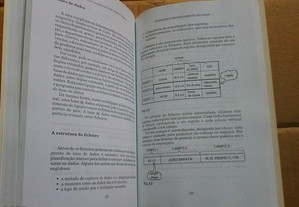 imagem_7