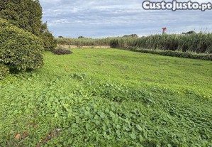 Terreno Agrícola em Montijo e Afonsoeiro