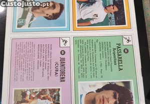 imagem_5