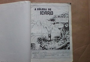 imagem_4