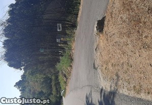 imagem_1